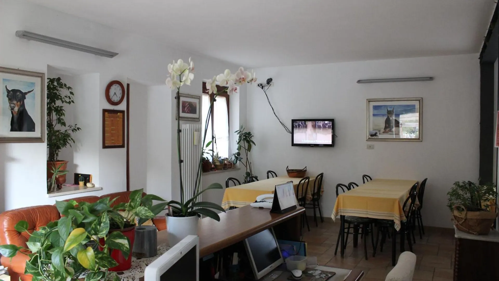 Villa Rosy Torre del Lago Puccini